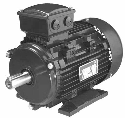  100S22-220/380-50IM2081-...31-